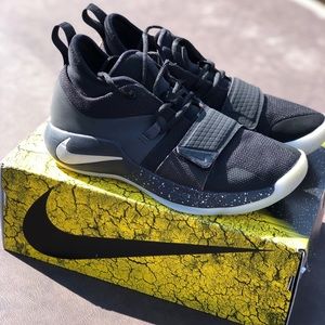 PG 2.5 “platinum”